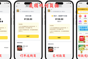 十一合一支付美团代发